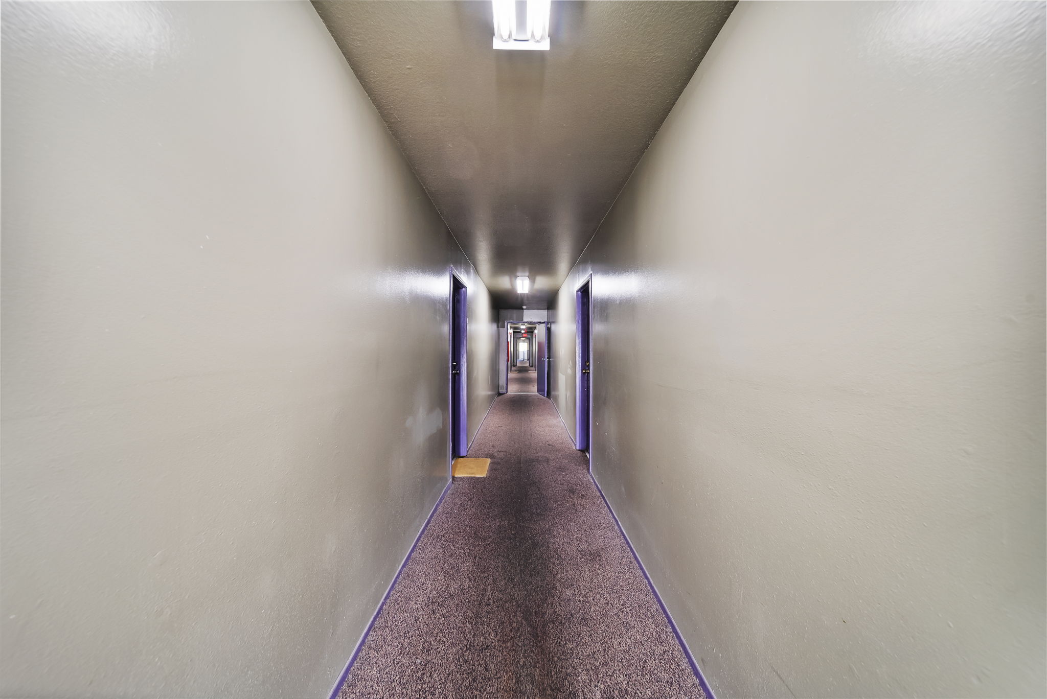 A long hallway with a purple line on the floor.